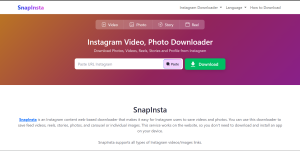 Cara Cepat Download Sorotan Instagram via SnapInsta